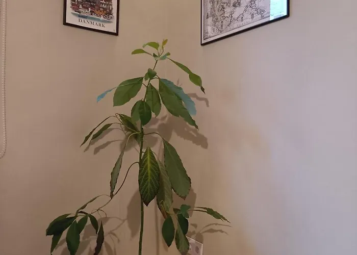 Colors Appartement *